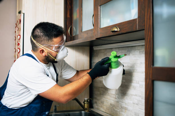 Trusted Larksville, PA Pest Control Experts